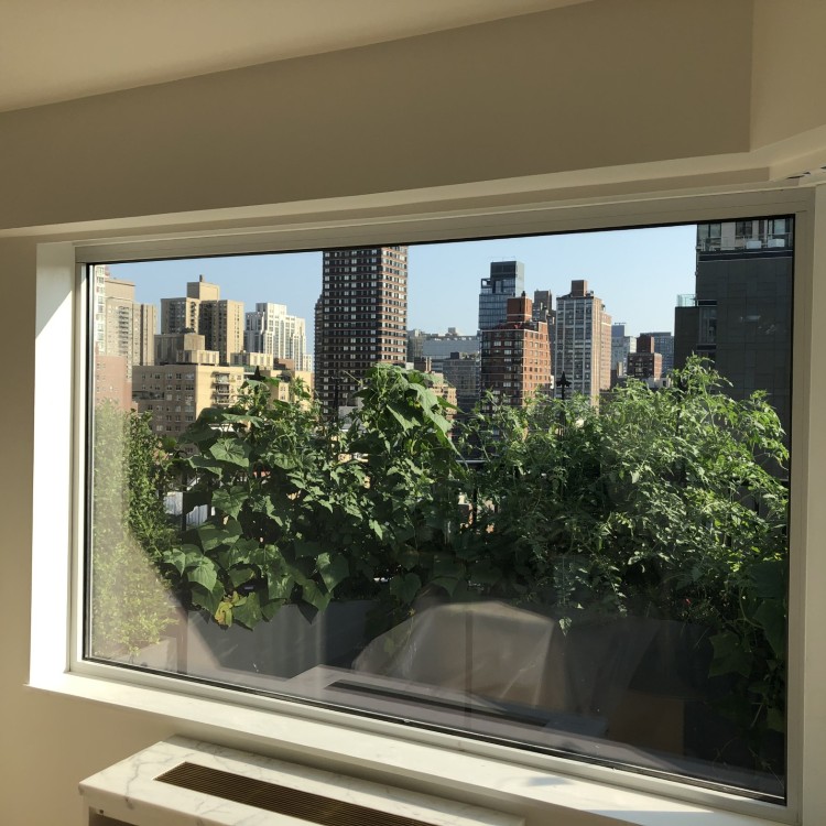 Construction services in New York City, NY